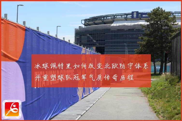 冰球佩特里如何改变北欧防守体系并重塑球队冠军气质传奇历程